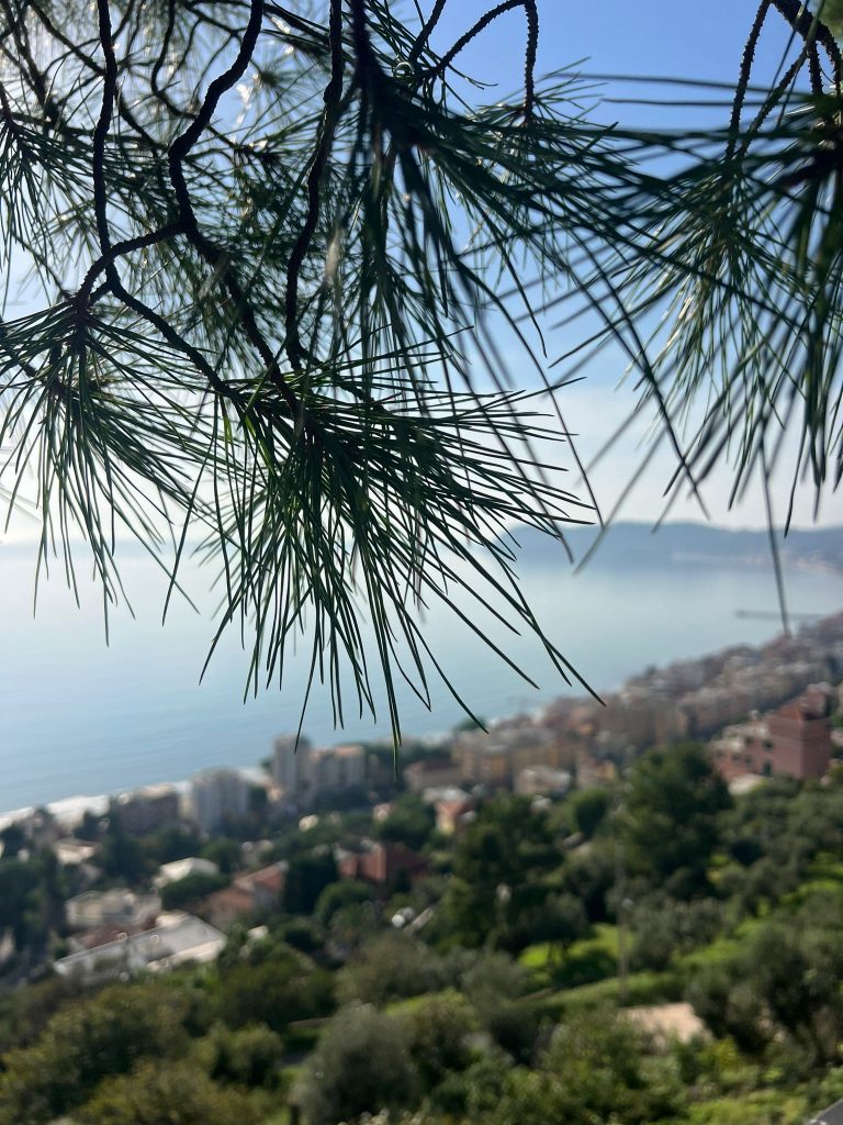 Ref. 915 Modern mediterranes Neubauprojekt mit Meerblick in Alassio