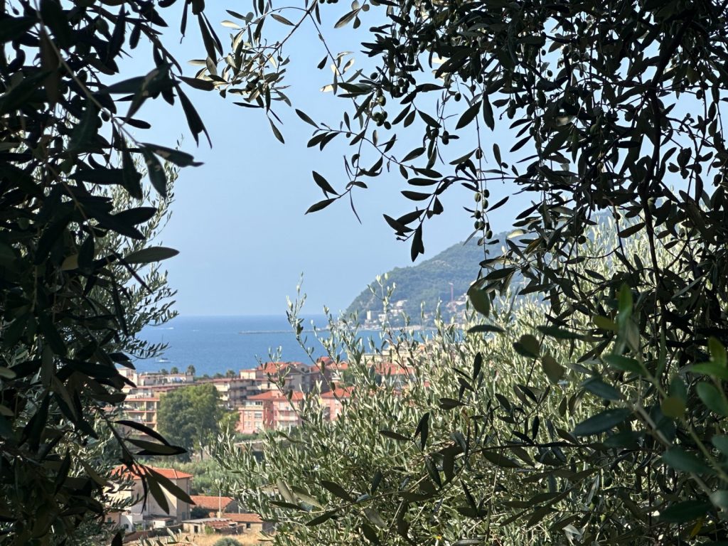 Ref. 824  Mediterrane Villa in CERVO mit privatem Park und unverbaubarem Meerblick
