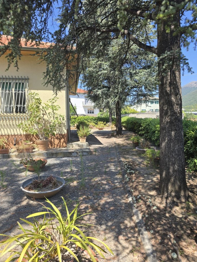 Ref. 824 Landhaus mit Garage, Keller und großem Grundstück – Sanierung nach Wunsch in SALEA