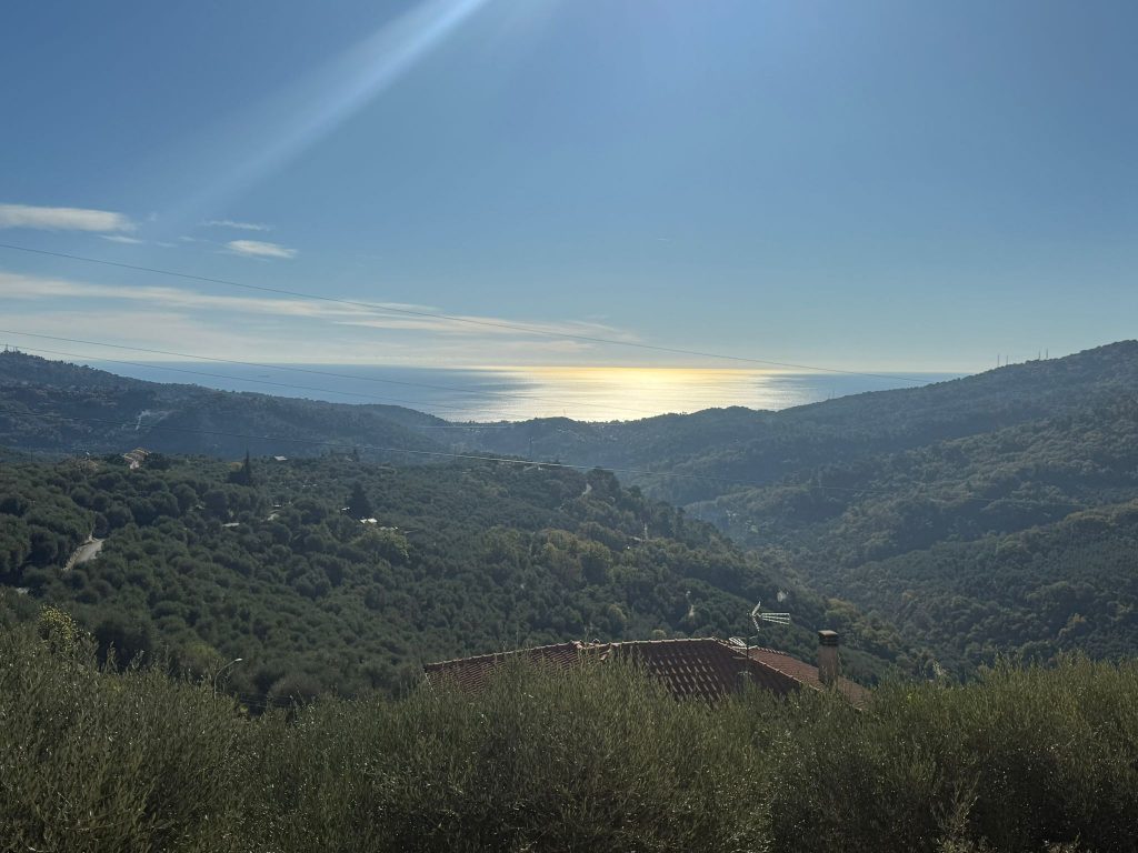 Ref. 858 Ihr Traum zwischen Olivenhainen und Meerblick – Villa Faraldi