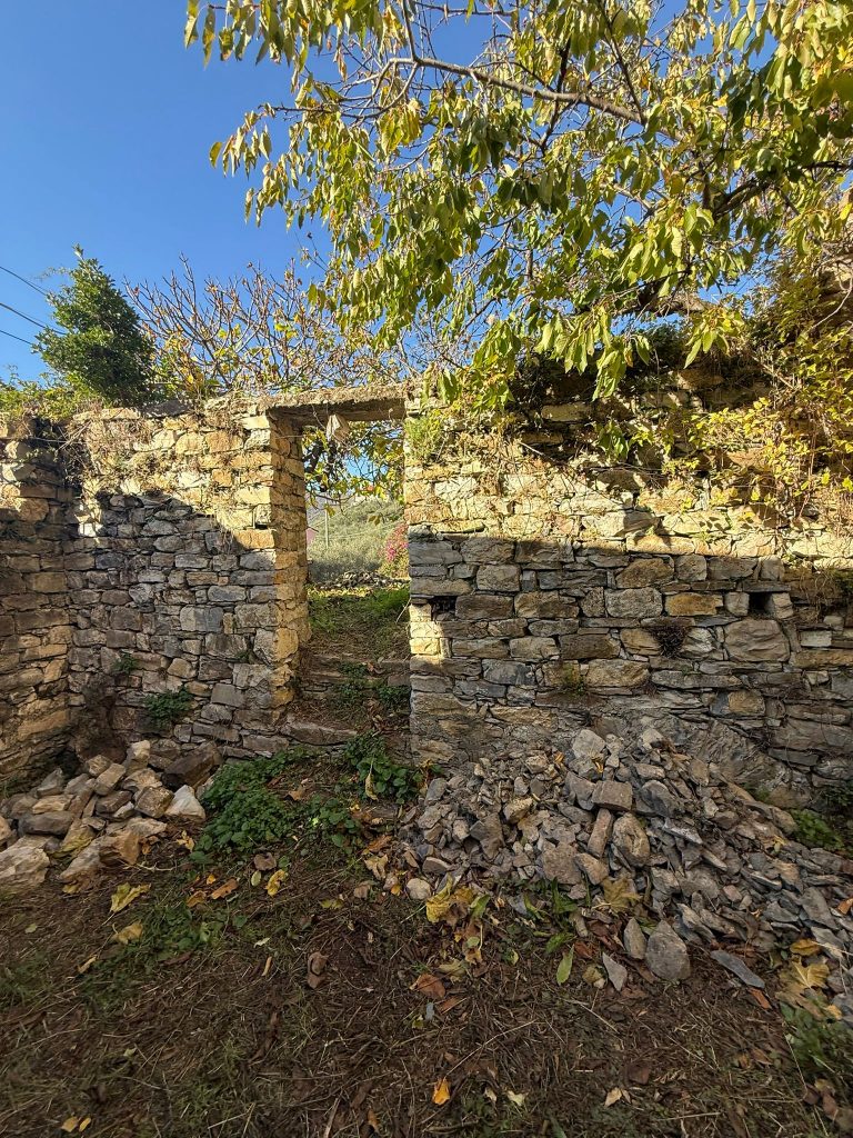 Ref. 858 Ihr Traum zwischen Olivenhainen und Meerblick – Villa Faraldi