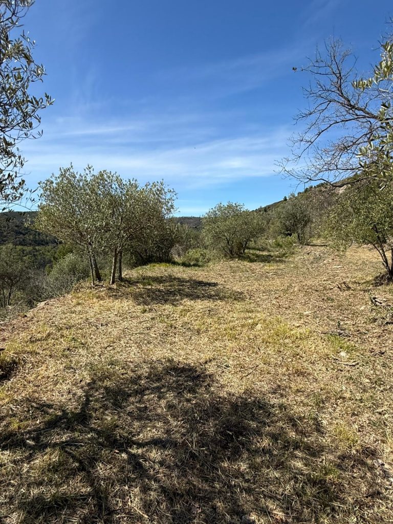 Ref. 933  Exklusives Naturrefugium mit Meerblick – Rustico in privilegierter Südlage in Vendone